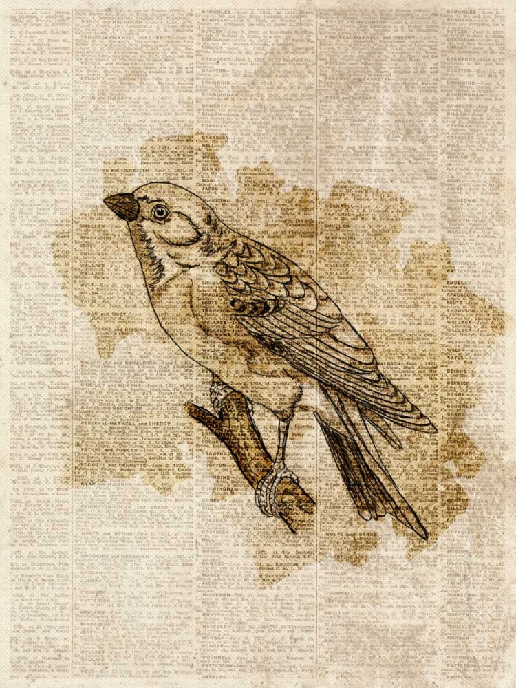 Vintage Bird I art print by SD Graphics Studio for $57.95 CAD