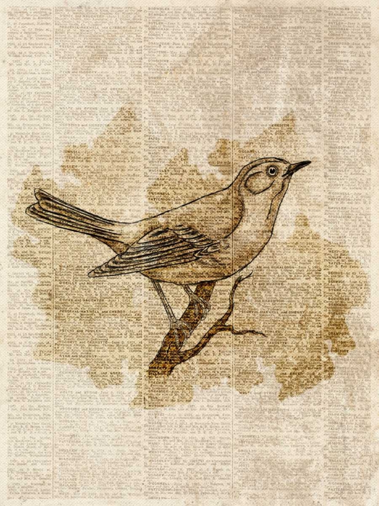 Vintage Bird II art print by SD Graphics Studio for $57.95 CAD