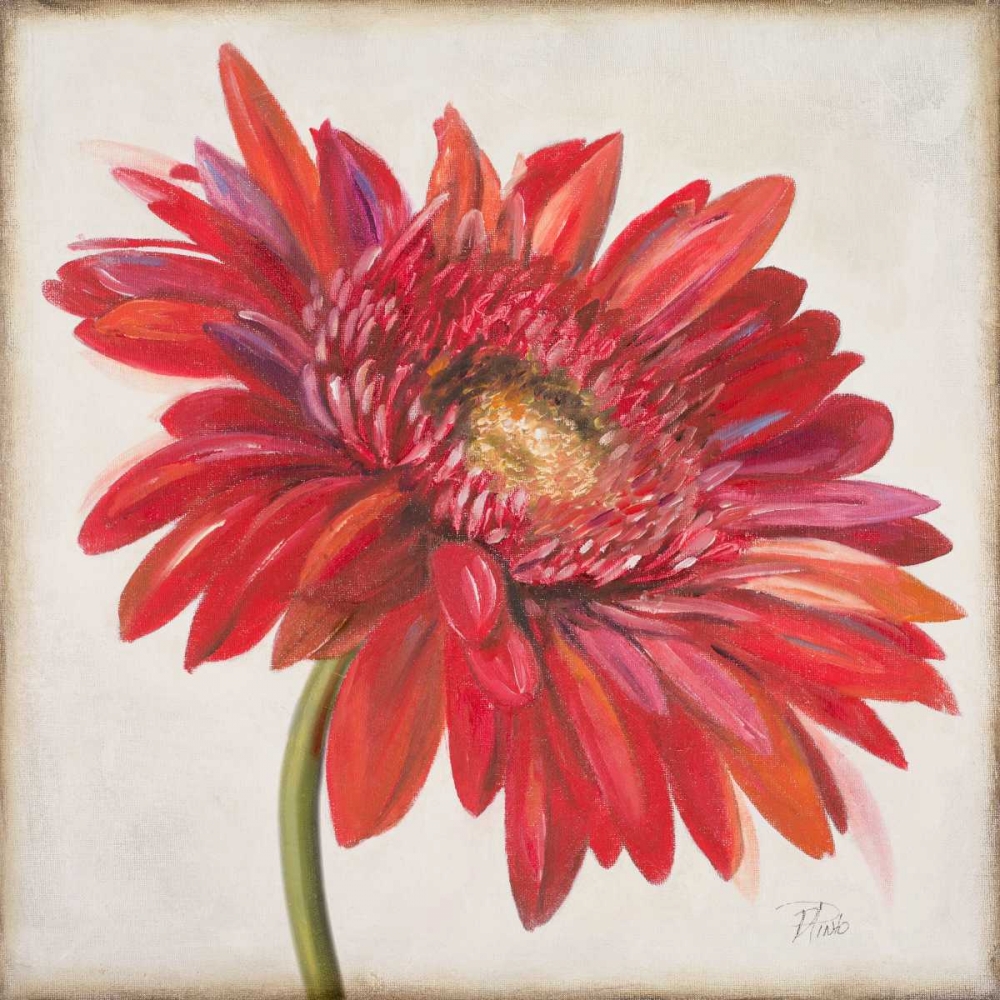 Red Gerber Daisy art print by Patricia Pinto for $57.95 CAD
