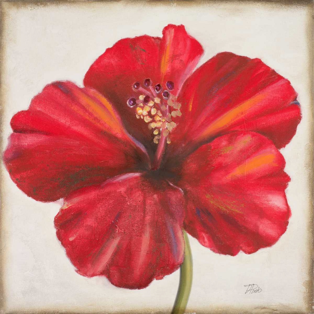 Red Hibiscus art print by Patricia Pinto for $57.95 CAD