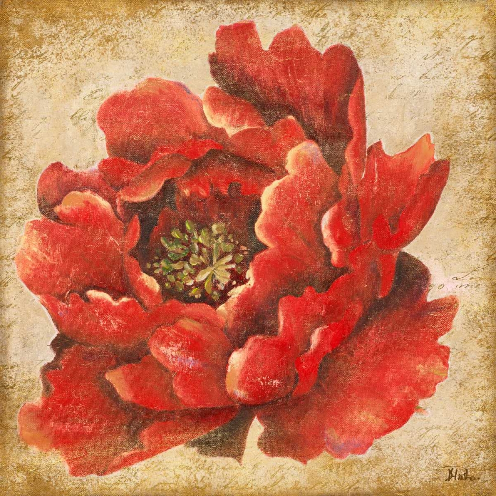Red Peony on Gold art print by Patricia Pinto for $57.95 CAD