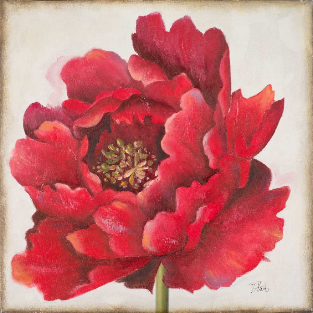 Red Peony art print by Patricia Pinto for $57.95 CAD