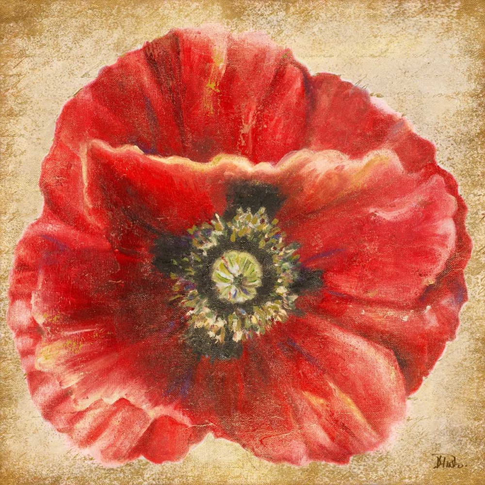Red Poppy on Gold art print by Patricia Pinto for $57.95 CAD