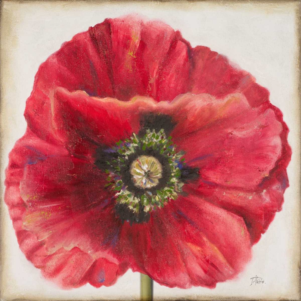 Red Poppy art print by Patricia Pinto for $57.95 CAD