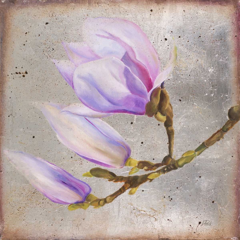 Magnolia on Silver Leaf I art print by Patricia Pinto for $57.95 CAD