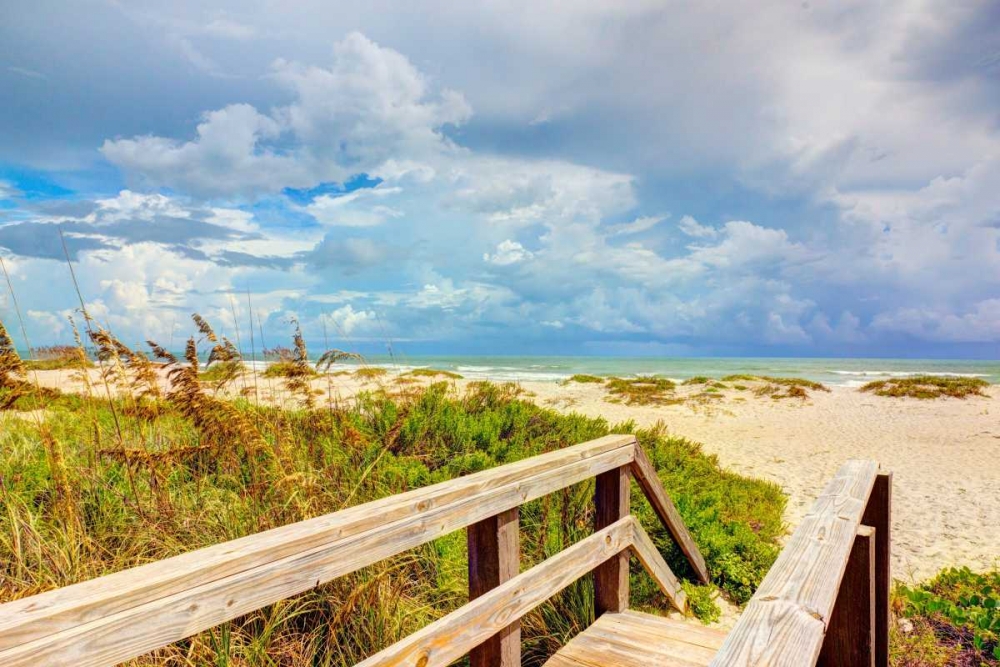 Beach Island I art print by Stede Bonnett for $57.95 CAD