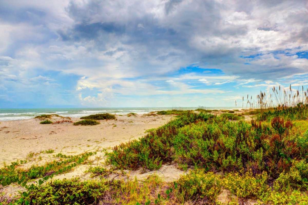 Beach Island II art print by Stede Bonnett for $57.95 CAD