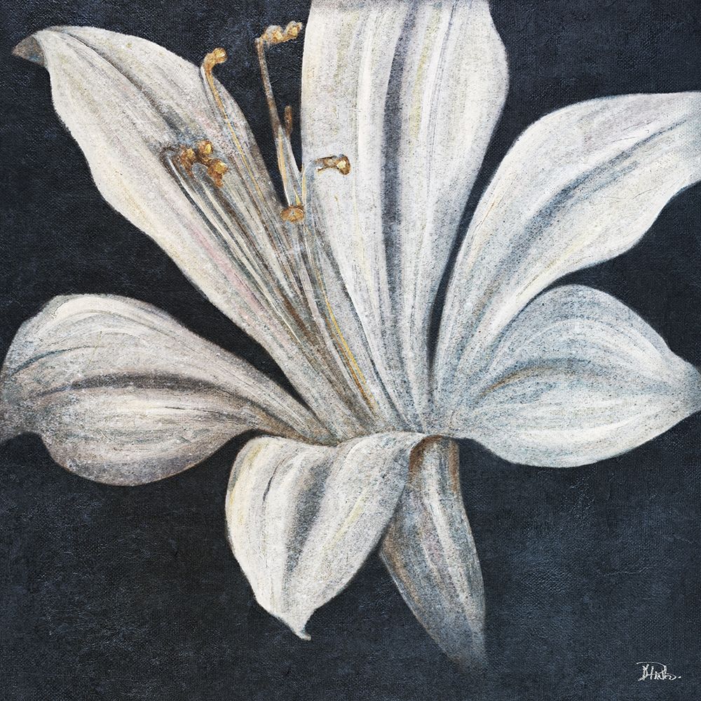Lily of the Evening Nile art print by Patricia Pinto for $57.95 CAD