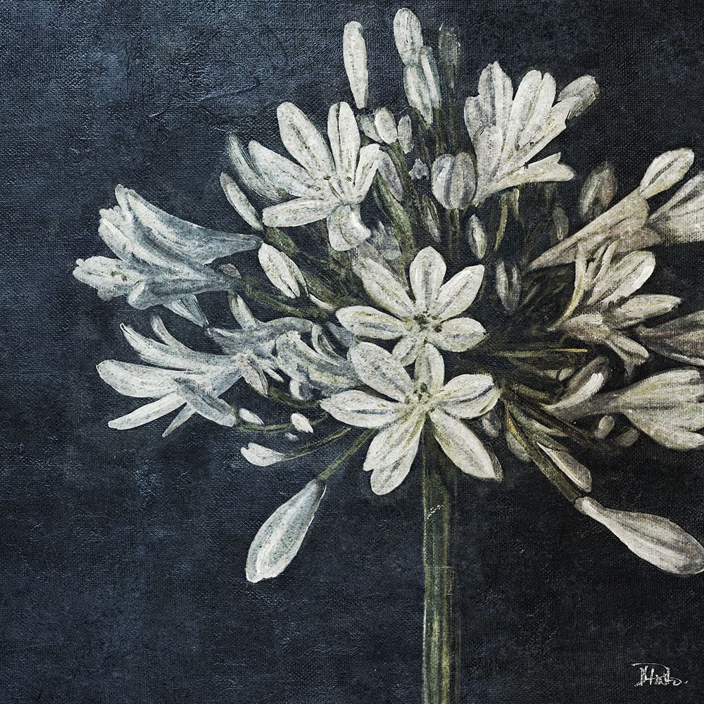 Midnight Lilies art print by Patricia Pinto for $57.95 CAD