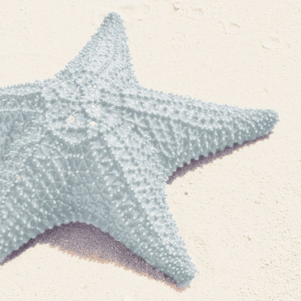 Blue Starfish art print by Kathy Mansfield for $57.95 CAD