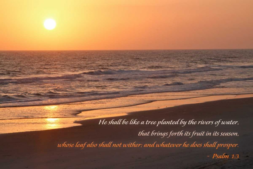 Sunrise II art print by Kathy Mansfield for $57.95 CAD