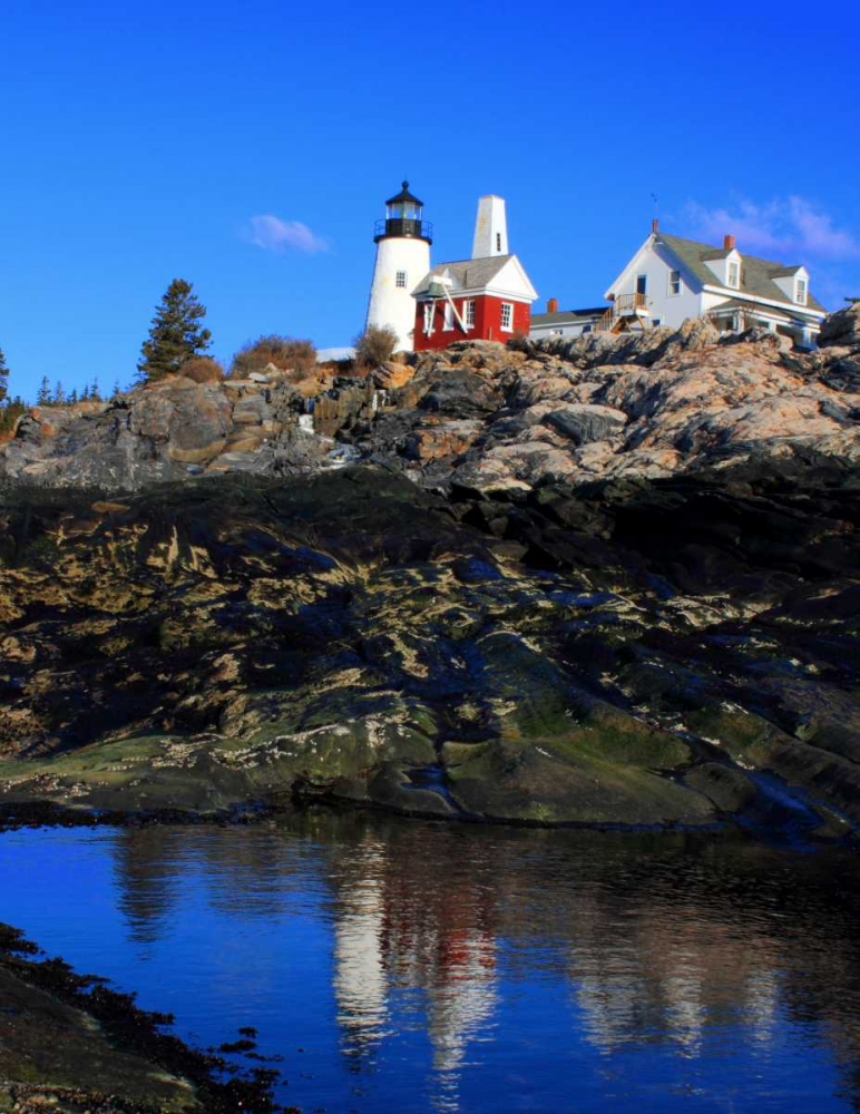 Pemaquid Point II art print by Jason Veilleux for $57.95 CAD