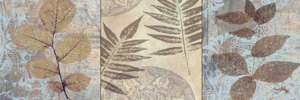 Leaves and Rosettes I art print by Elizabeth Medley for $57.95 CAD