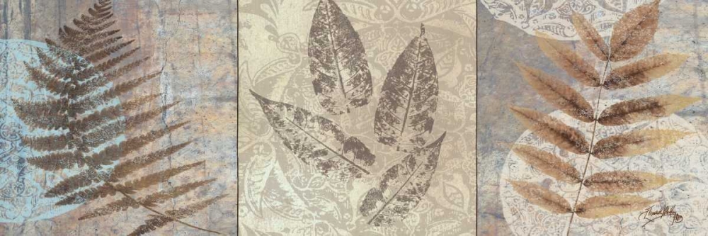 Leaves and Rosettes II art print by Elizabeth Medley for $57.95 CAD