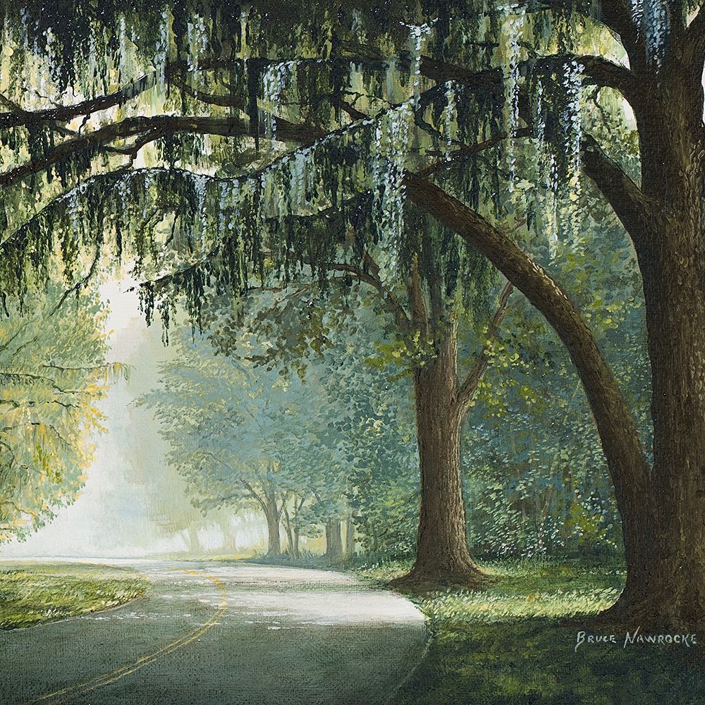 Lake Shore Drive I art print by Bruce Nawrocke for $57.95 CAD