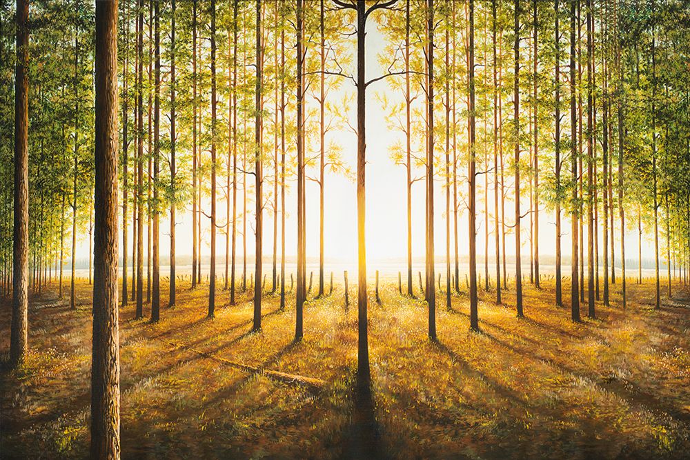 Highlight Of the Season art print by Bruce Nawrocke for $57.95 CAD