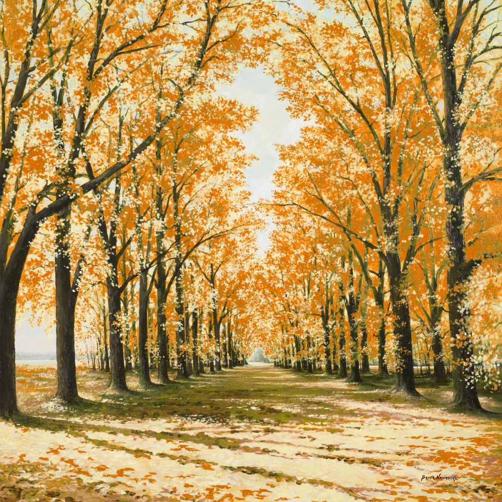 Falls Cathedral art print by Bruce Nawrocke for $57.95 CAD