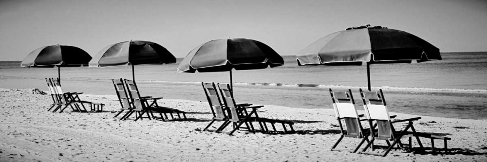 Beach Reunion art print by Gail Peck for $57.95 CAD