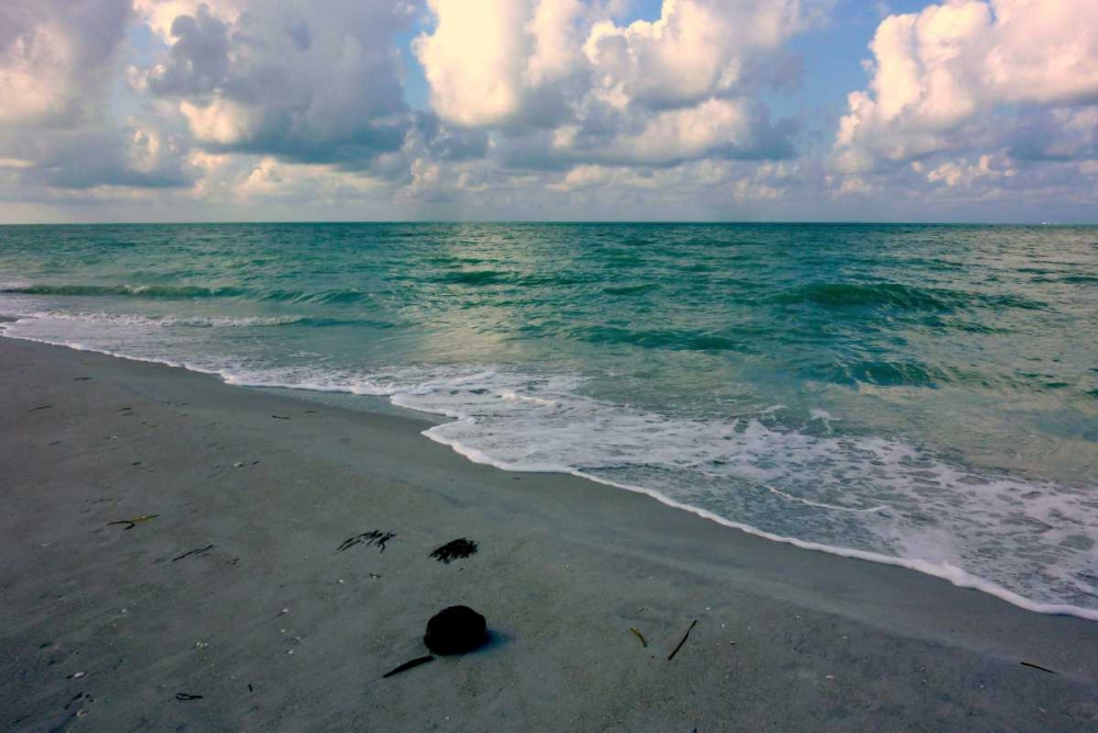 Emerald Sea art print by Gail Peck for $57.95 CAD