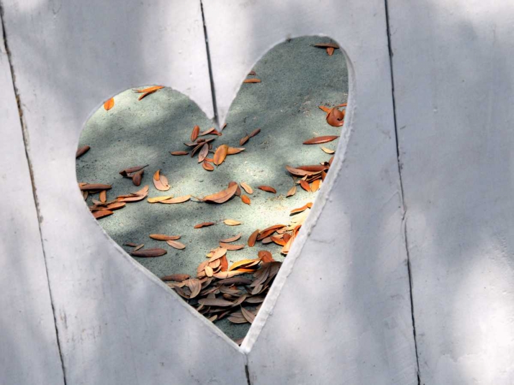Heart Full of Love art print by Gail Peck for $57.95 CAD