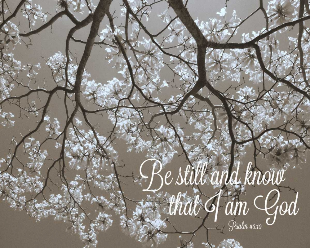 Be Still art print by Gail Peck for $57.95 CAD