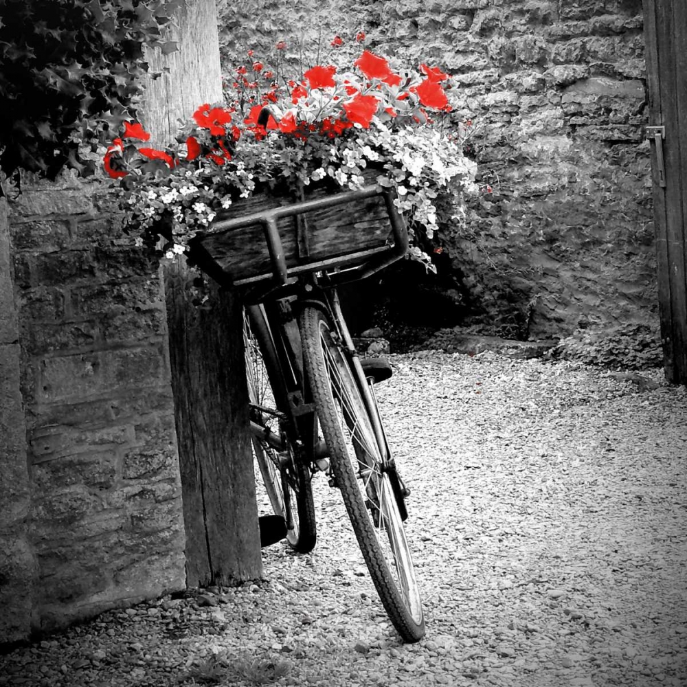 Flower Bike Square art print by Gail Peck for $57.95 CAD
