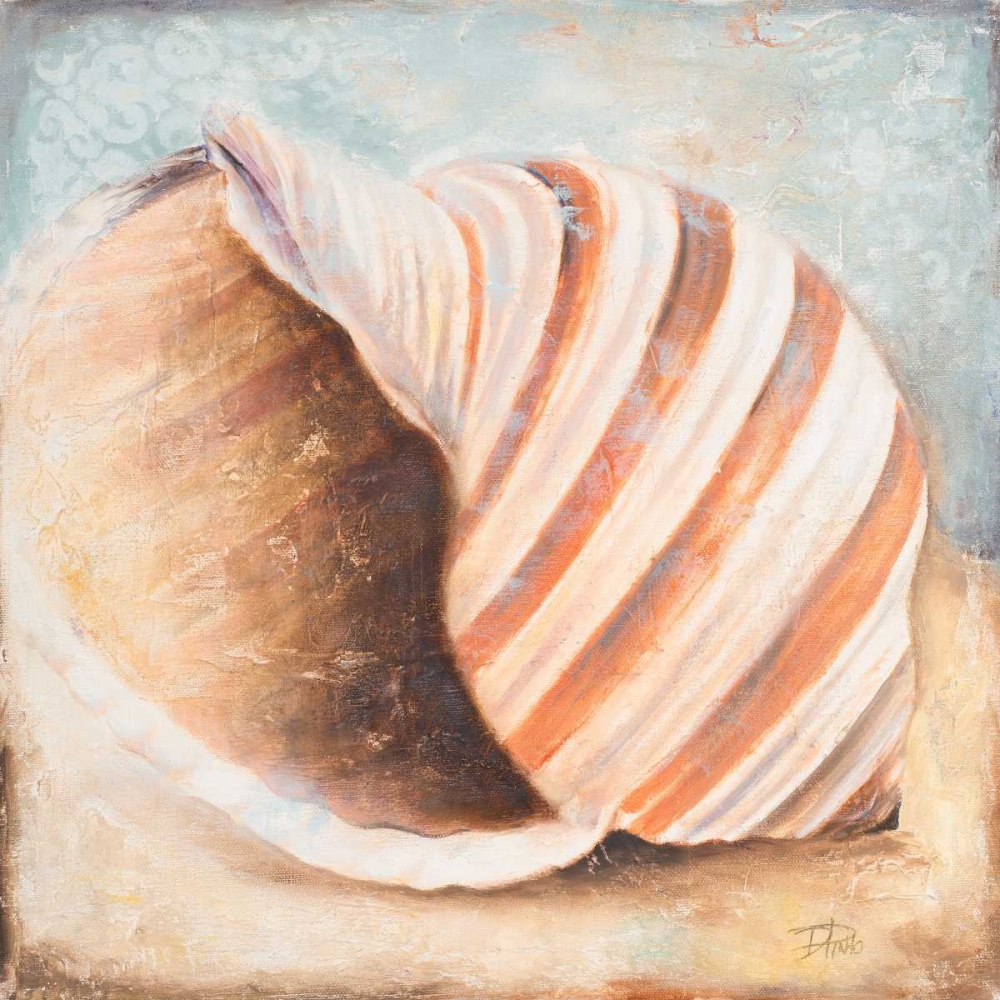 Seashell Collection I art print by Patricia Pinto for $57.95 CAD