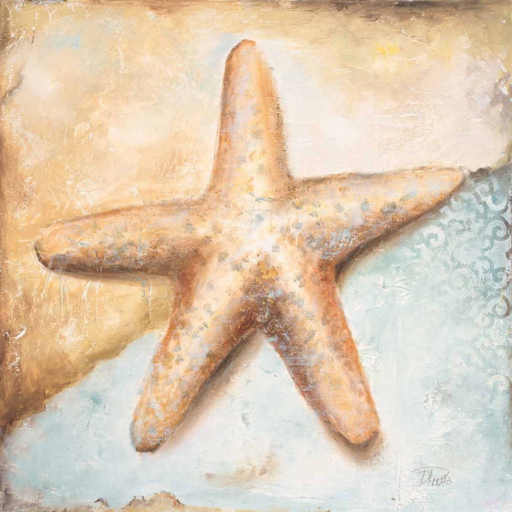 Seashell Collection II art print by Patricia Pinto for $57.95 CAD