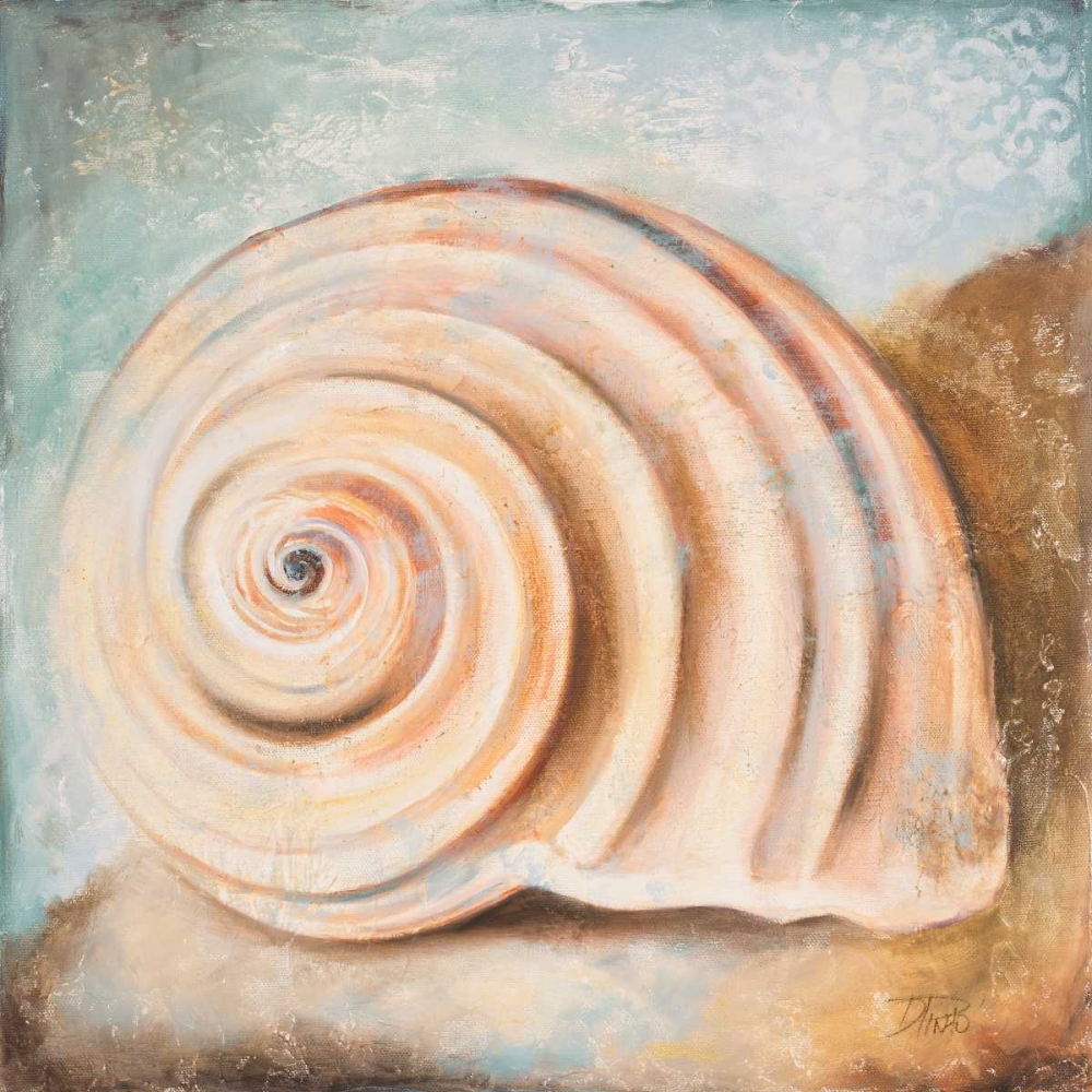 Seashell Collection IV art print by Patricia Pinto for $57.95 CAD