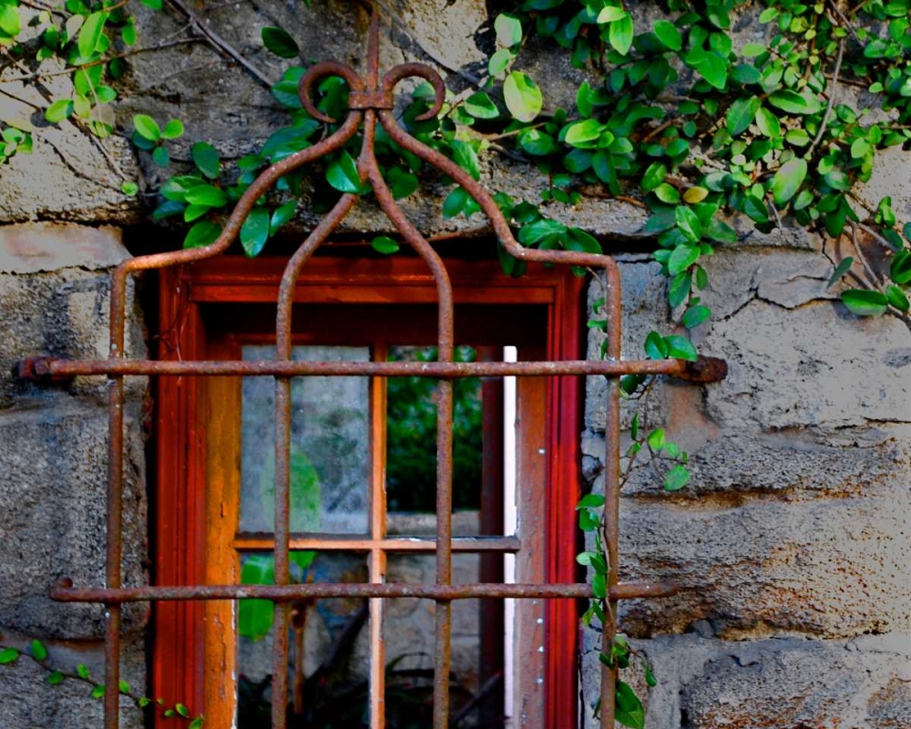Behind Bars art print by Gail Peck for $57.95 CAD
