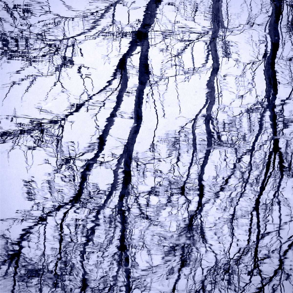 Branches on Purple art print by Gail Peck for $57.95 CAD