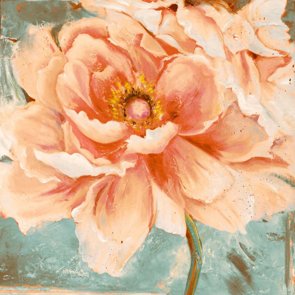 Beautiful Peonies Square I art print by Patricia Pinto for $57.95 CAD