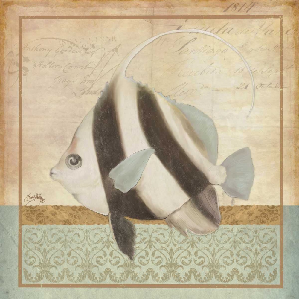 Vintage Fish I art print by Elizabeth Medley for $57.95 CAD