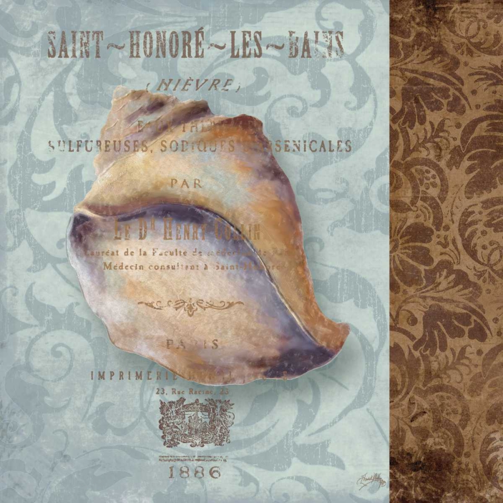 Shell II art print by Elizabeth Medley for $57.95 CAD