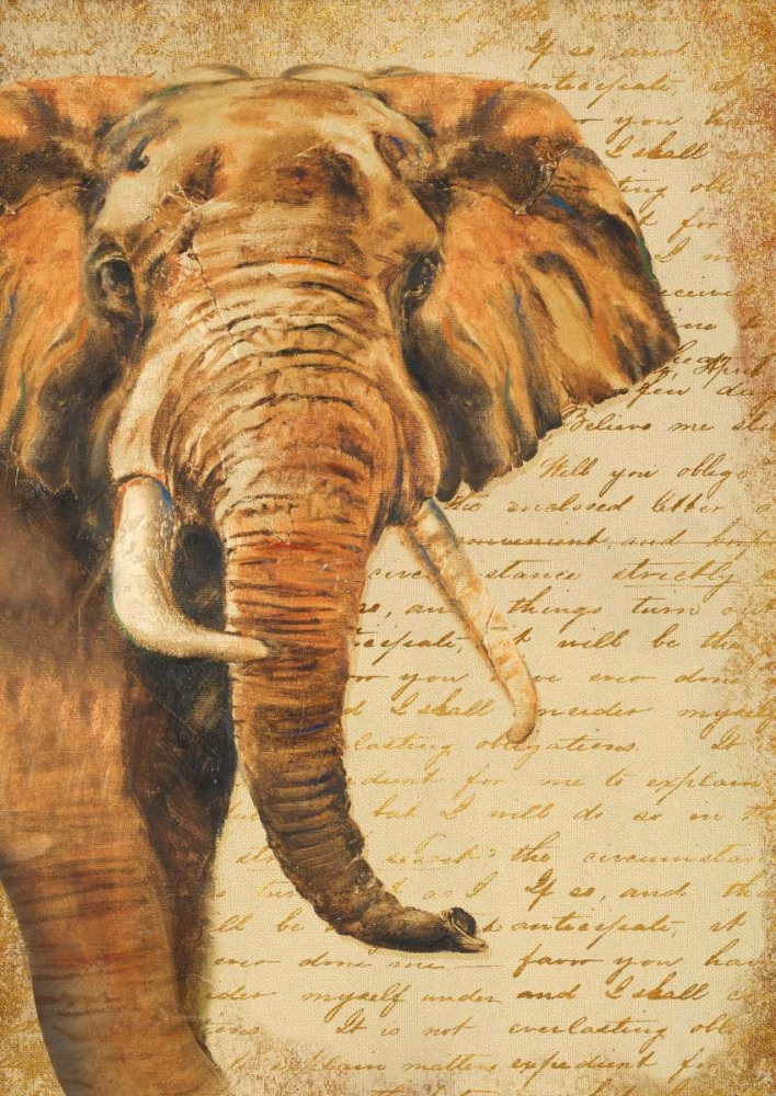 Madagascar Safari III art print by Patricia Pinto for $57.95 CAD