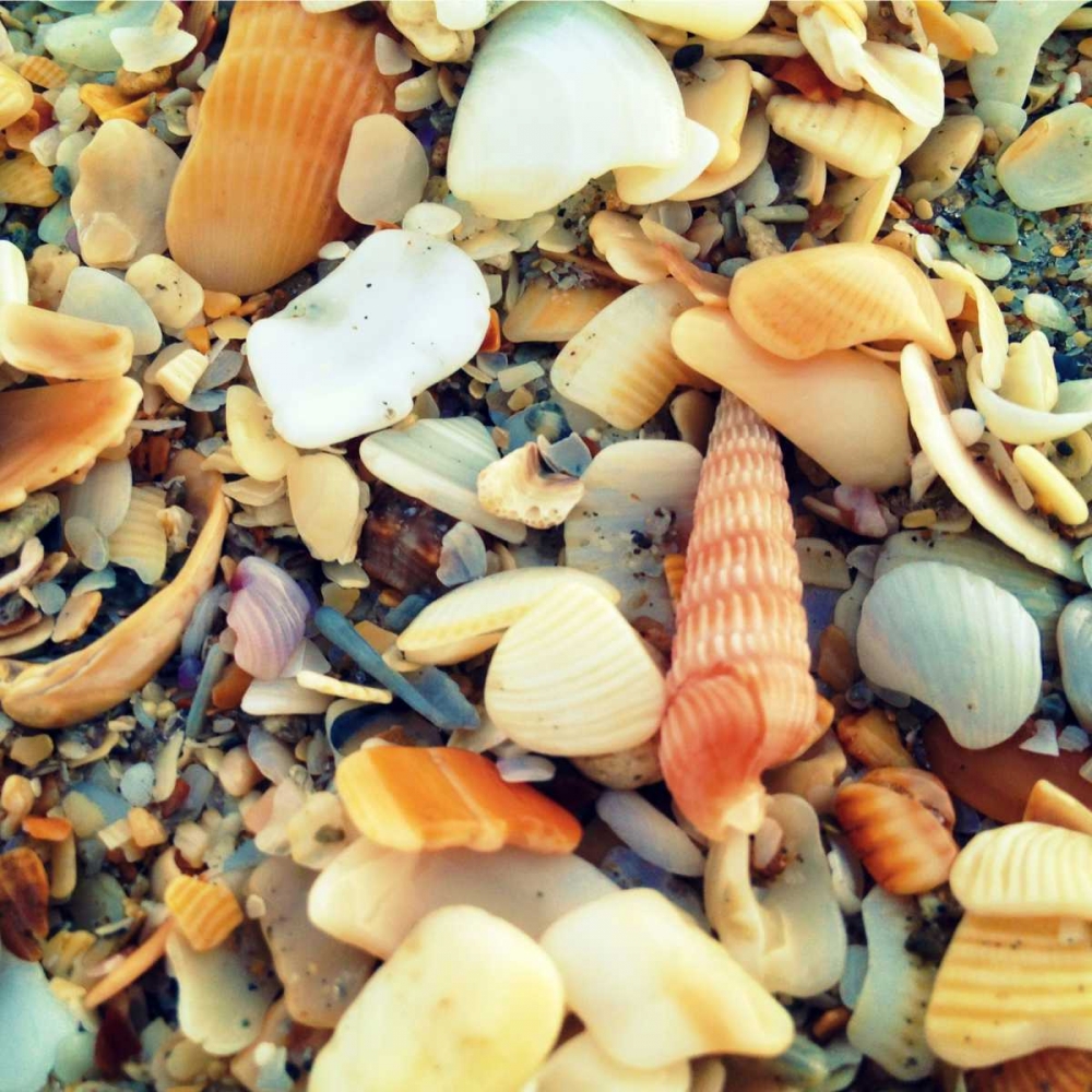 Sea Glass II art print by Lisa Hill Saghini for $57.95 CAD