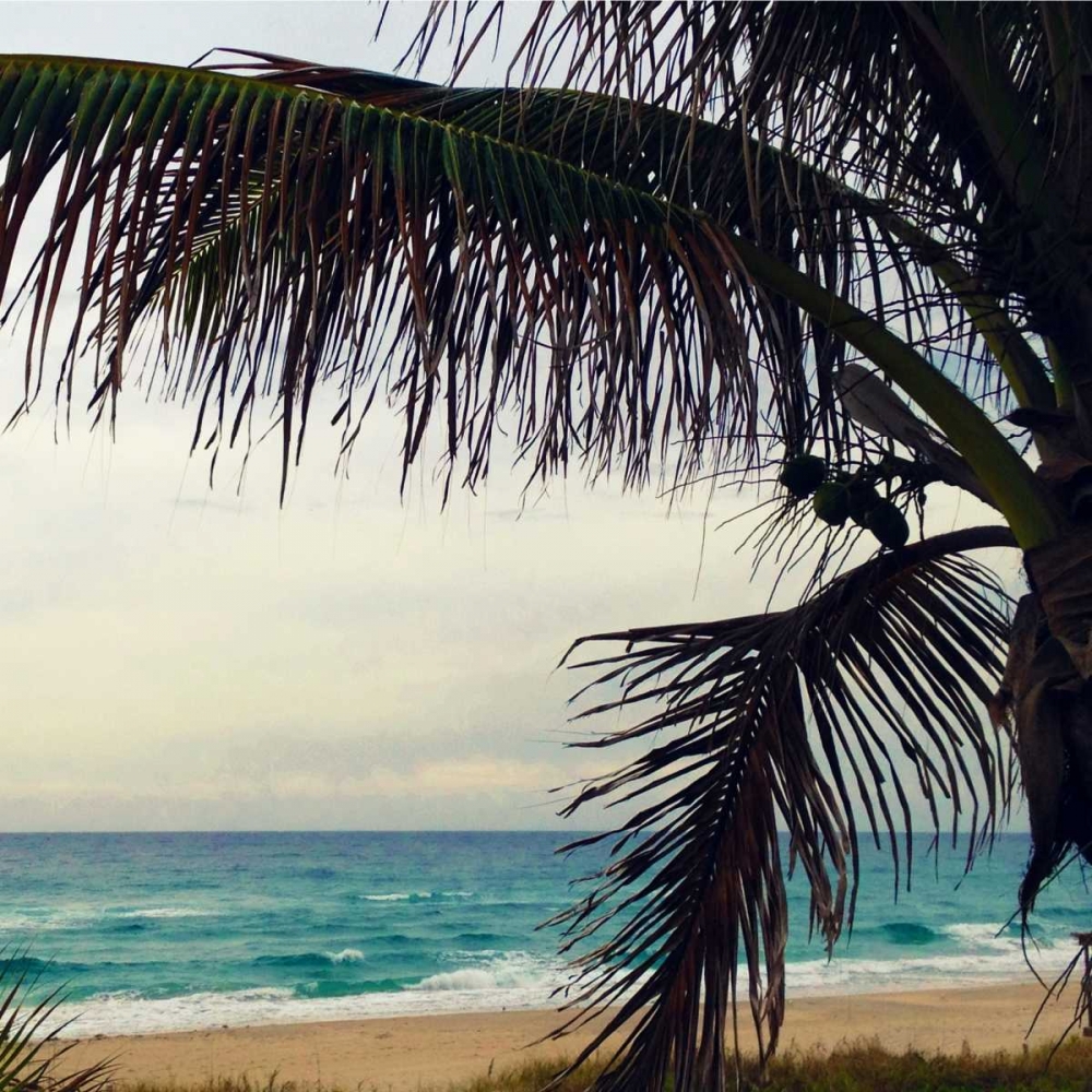 Palm and Beach art print by Lisa Hill Saghini for $57.95 CAD