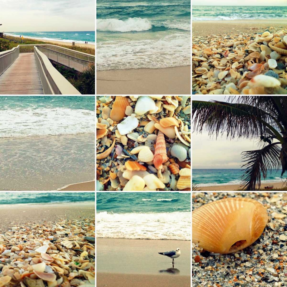 Shell Beach art print by Lisa Hill Saghini for $57.95 CAD