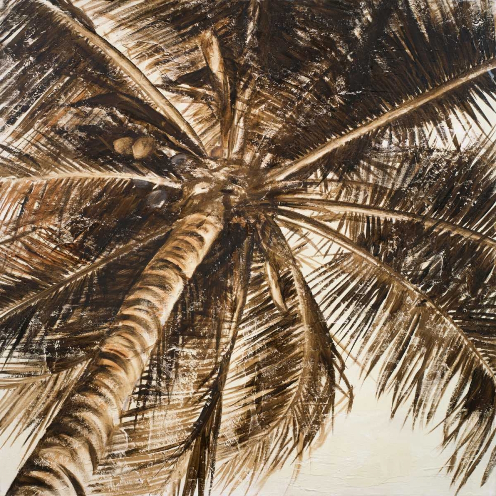 Coconut Palm II art print by Patricia Pinto for $57.95 CAD