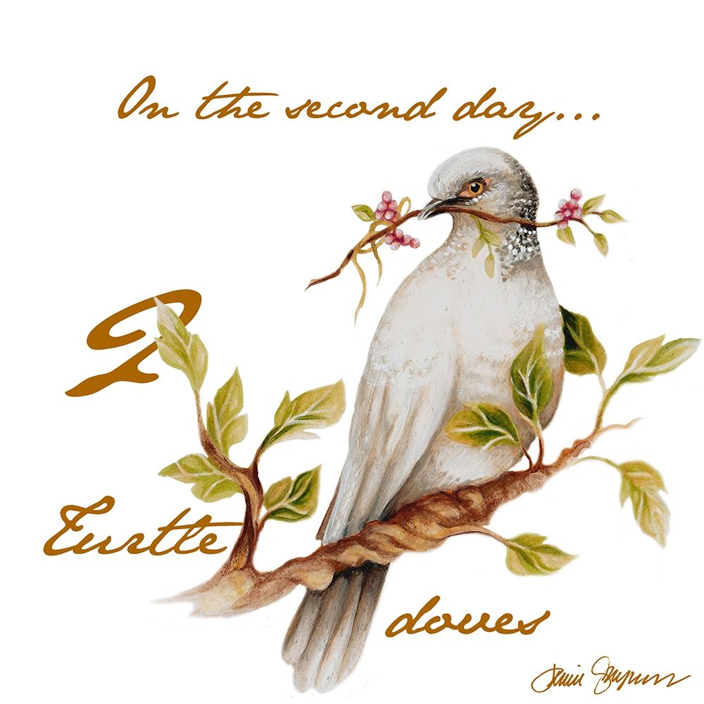 Two Turtle Doves art print by Janice Gaynor for $57.95 CAD