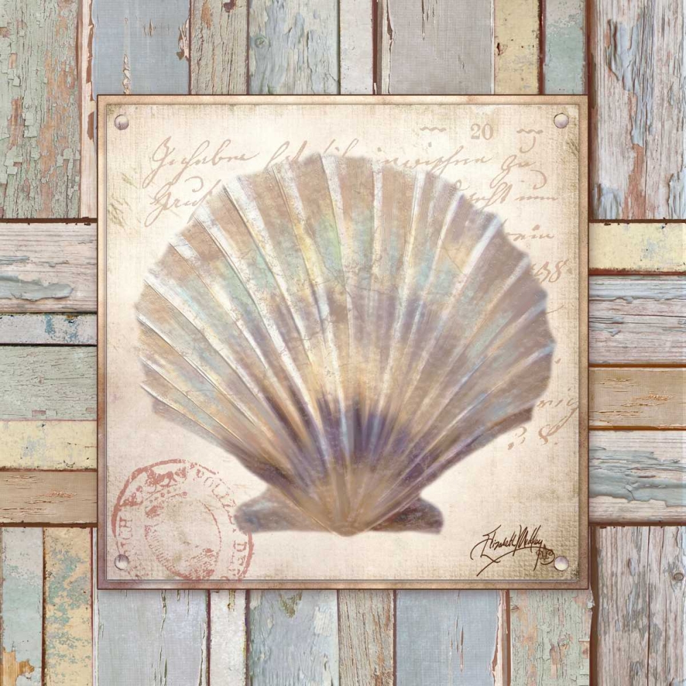 Beach Shell I art print by Elizabeth Medley for $57.95 CAD