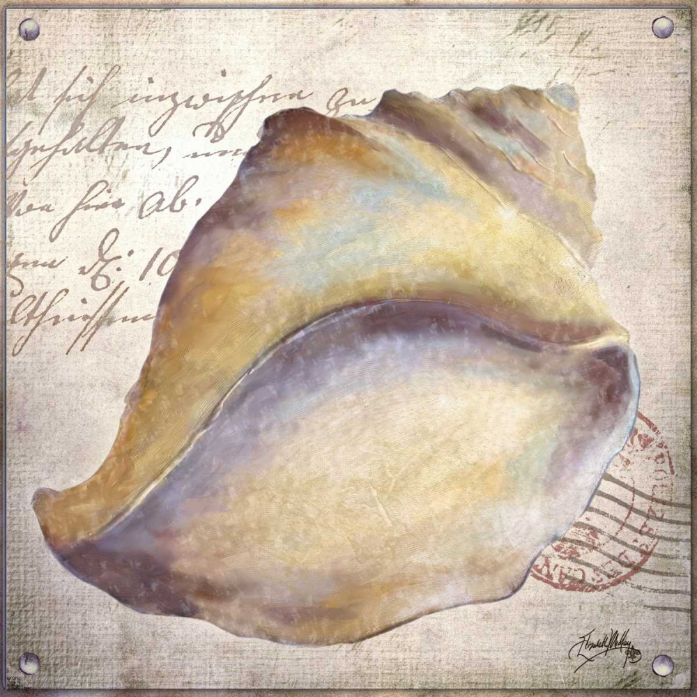 Beach Shell II art print by Elizabeth Medley for $57.95 CAD