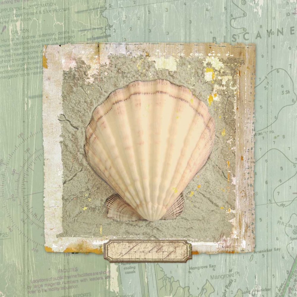 Seashore Collection II art print by Elizabeth Medley for $57.95 CAD