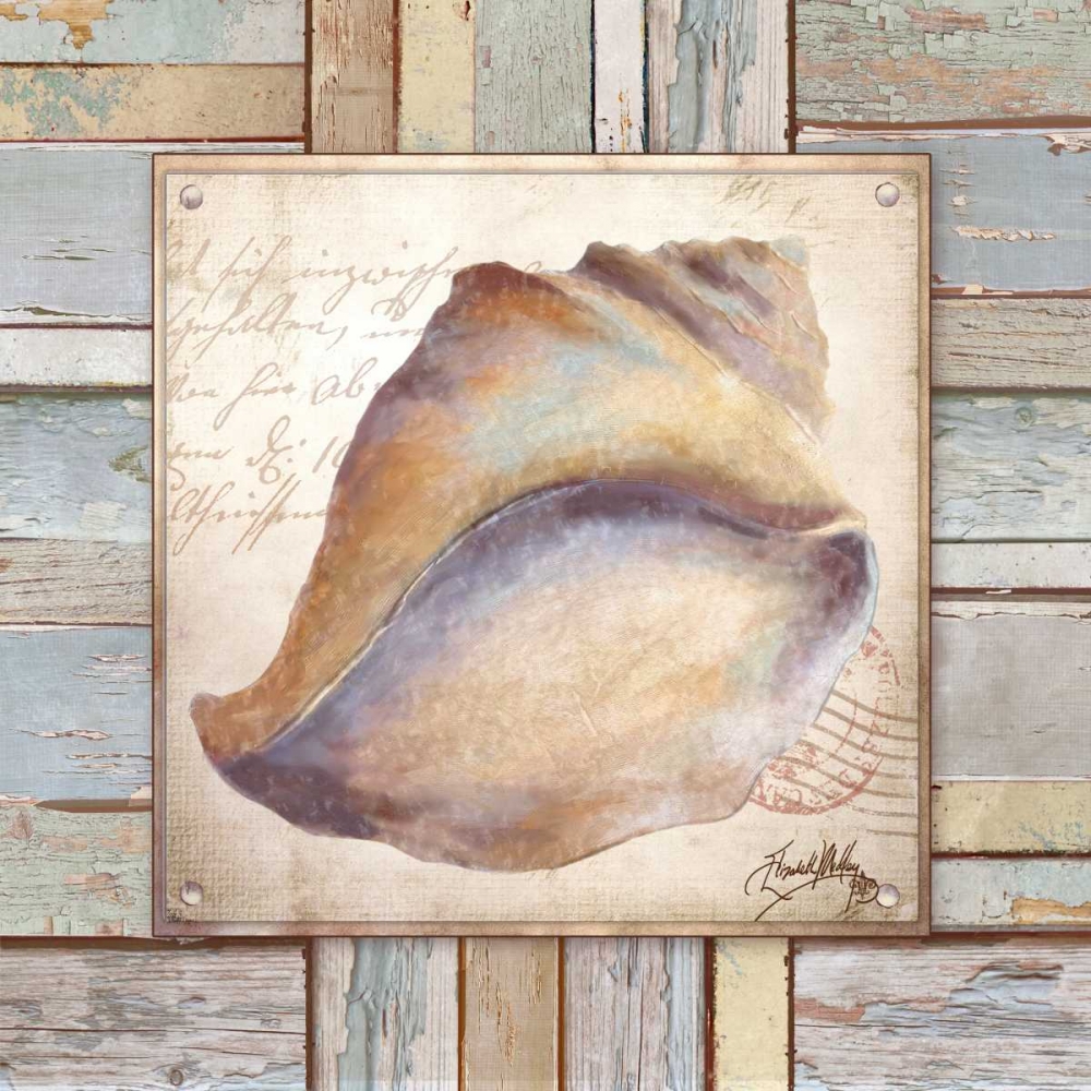 Beach Shell II art print by Elizabeth Medley for $57.95 CAD