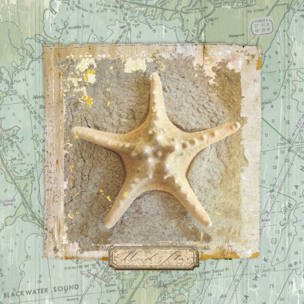 Seashore Collection III art print by Elizabeth Medley for $57.95 CAD