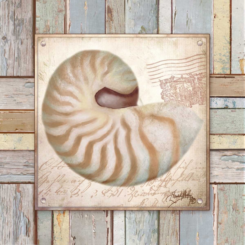 Beach Shell III art print by Elizabeth Medley for $57.95 CAD