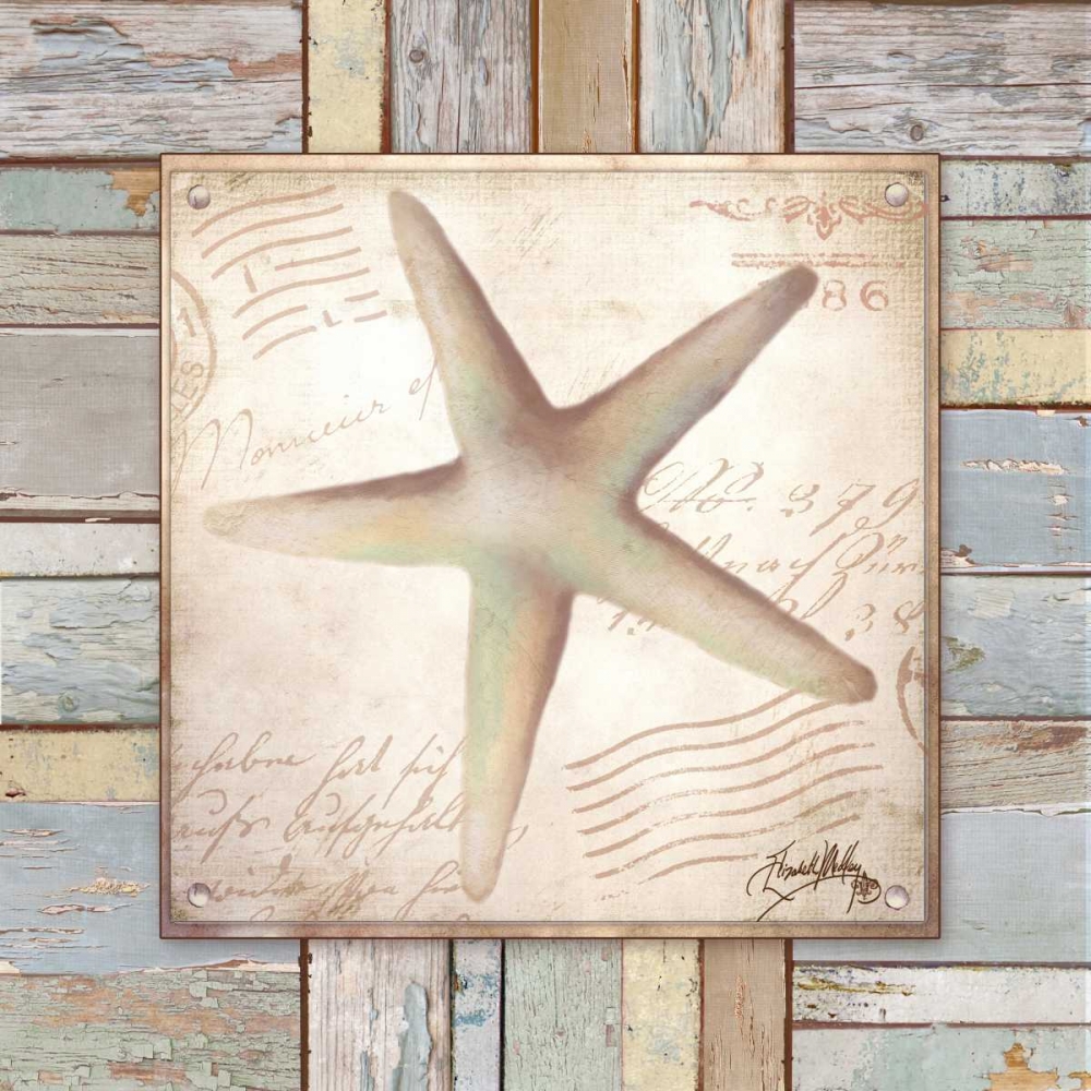 Beach Shell IV art print by Elizabeth Medley for $57.95 CAD