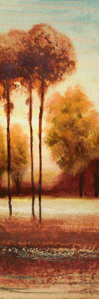 Vibrant Land II art print by Michael Marcon for $57.95 CAD