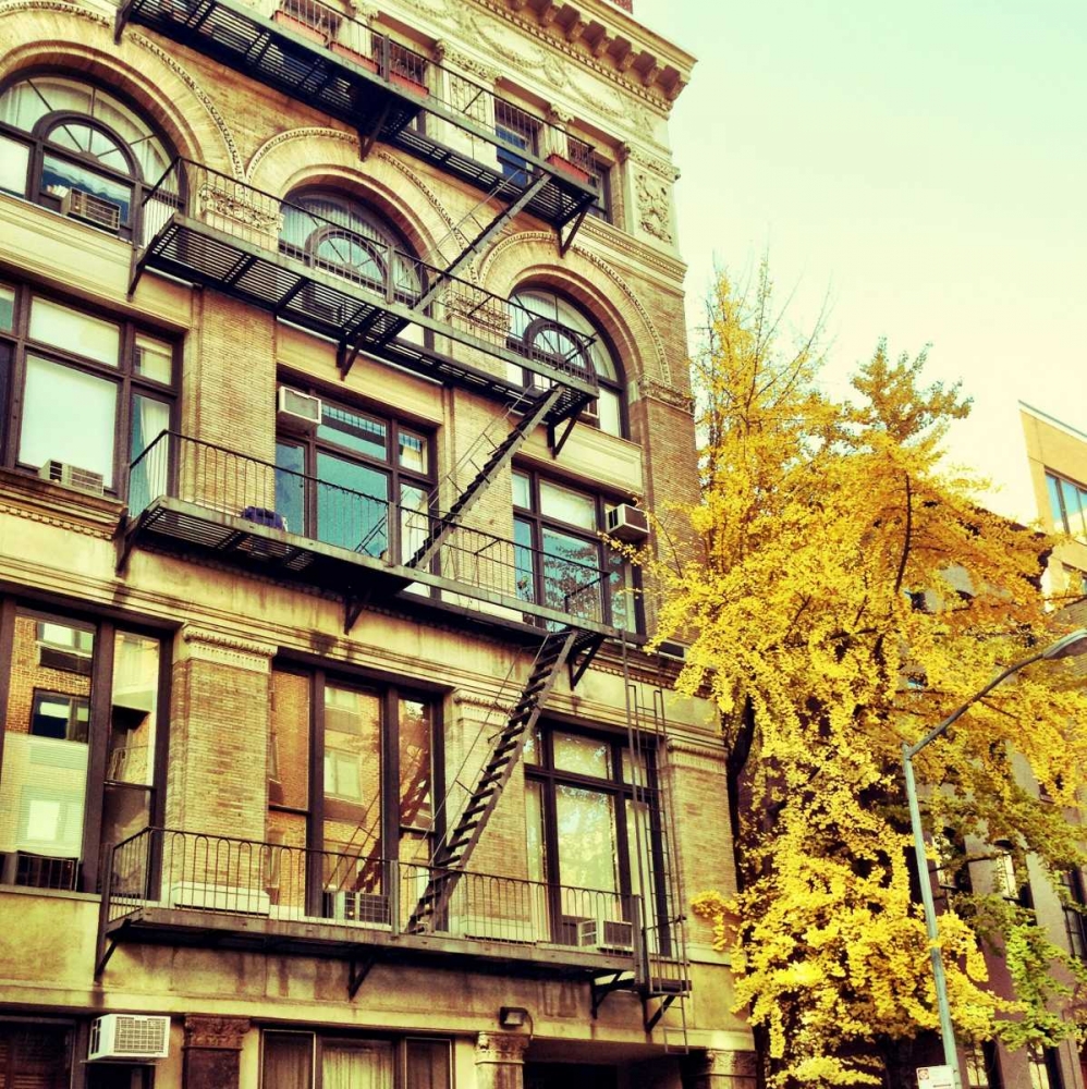 Chelsea Afternoon I art print by Acosta for $57.95 CAD
