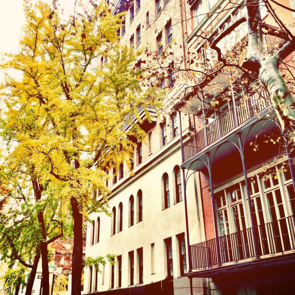 Chelsea Afternoon II art print by Acosta for $57.95 CAD